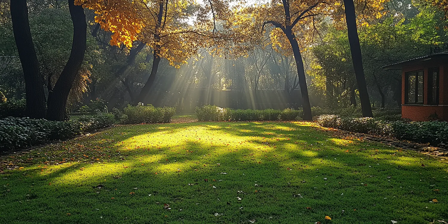Ile kosztuje trawa z rolki cena?