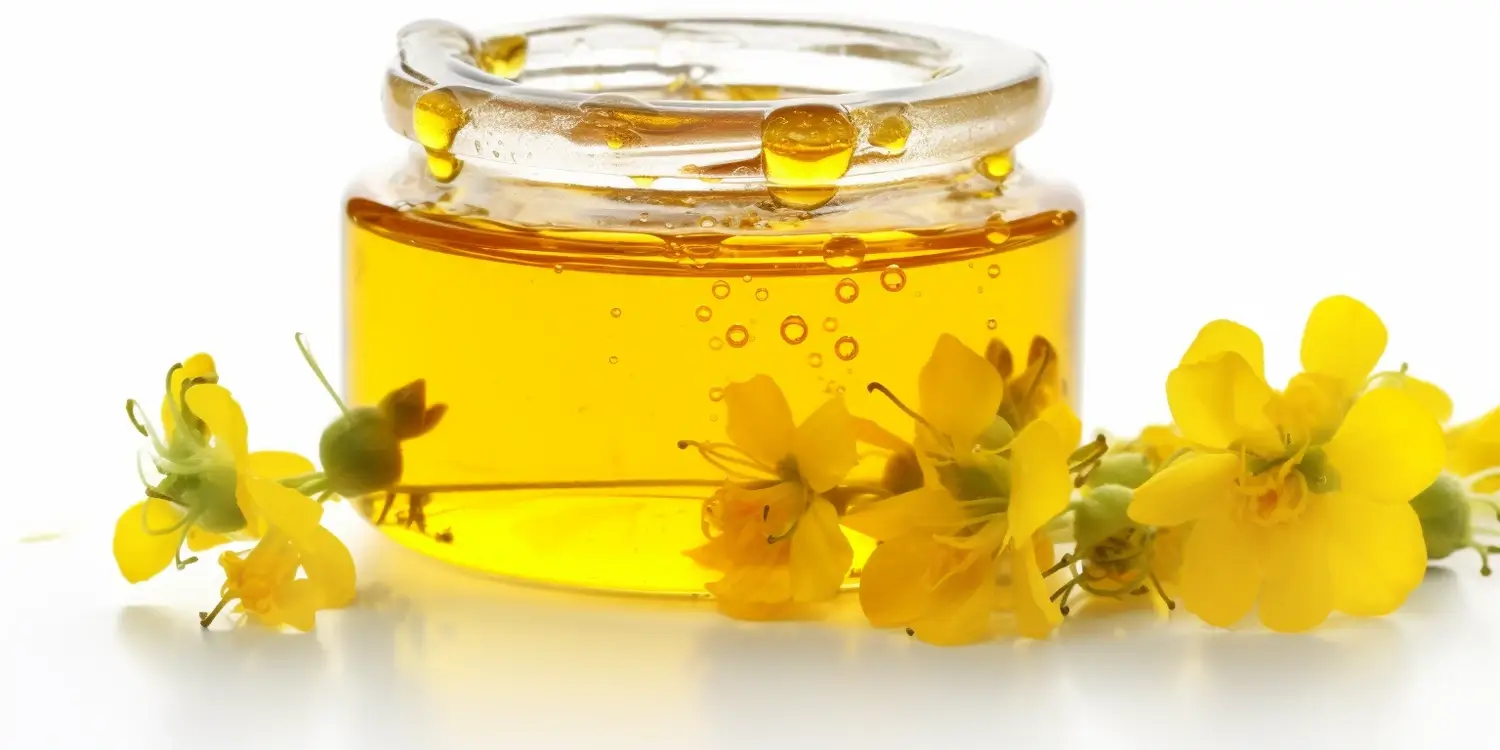 Miód nawłociowy właściwości lecznicze