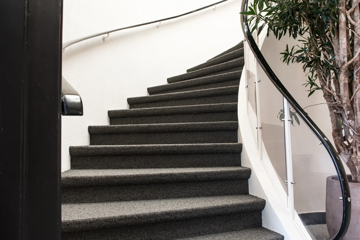 Wykładzina dywanowa jak czyścić?